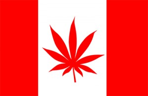 Canada Flag With Canabis Leaf Logo